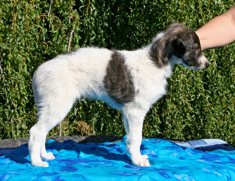 Surf Spots - Boy 2 Right